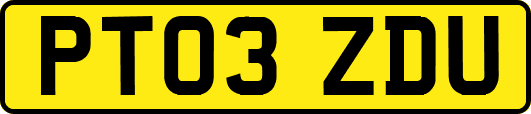 PT03ZDU