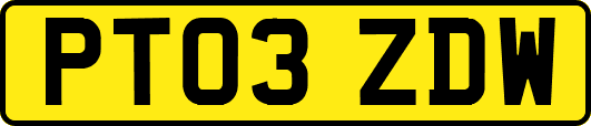 PT03ZDW