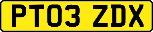 PT03ZDX