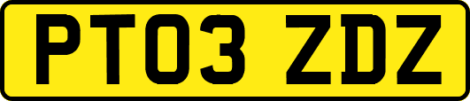PT03ZDZ