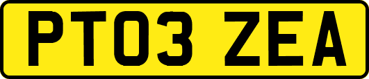 PT03ZEA