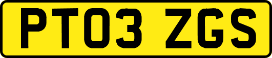 PT03ZGS