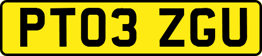 PT03ZGU