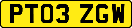 PT03ZGW