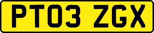 PT03ZGX