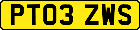 PT03ZWS