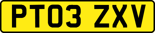 PT03ZXV