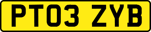 PT03ZYB