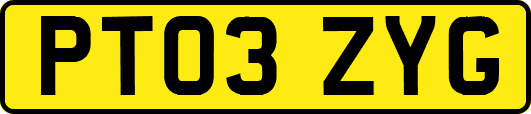 PT03ZYG