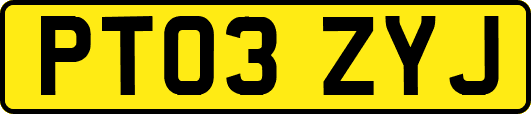 PT03ZYJ