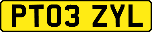 PT03ZYL