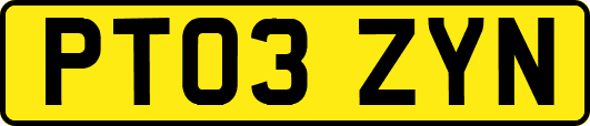 PT03ZYN