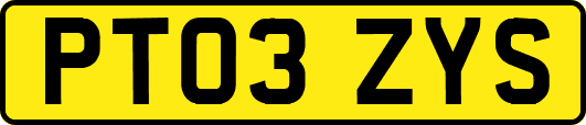 PT03ZYS