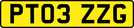 PT03ZZG