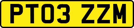 PT03ZZM