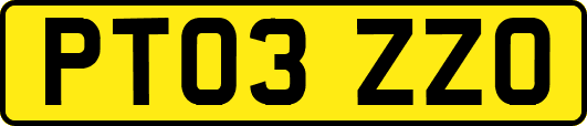 PT03ZZO