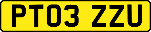 PT03ZZU