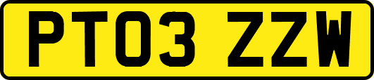 PT03ZZW