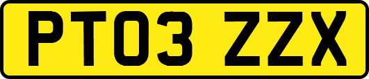 PT03ZZX