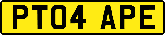 PT04APE