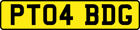 PT04BDG