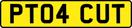 PT04CUT