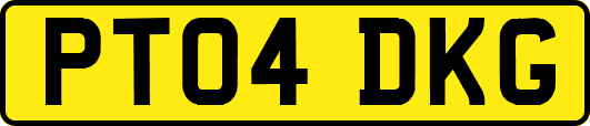 PT04DKG