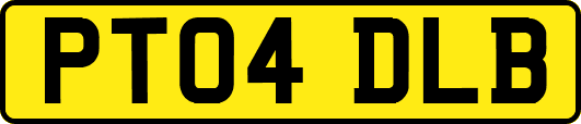 PT04DLB