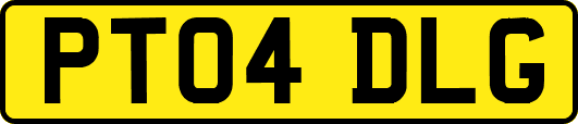 PT04DLG