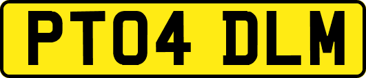 PT04DLM