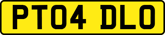PT04DLO