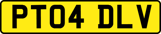 PT04DLV