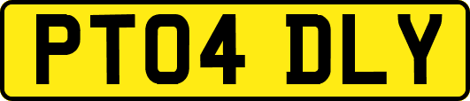 PT04DLY