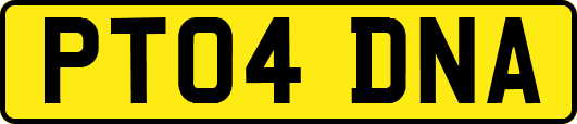 PT04DNA