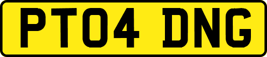 PT04DNG
