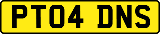 PT04DNS