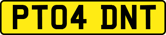PT04DNT