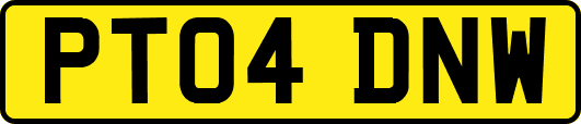 PT04DNW