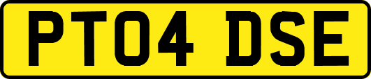 PT04DSE