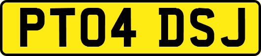 PT04DSJ