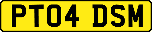 PT04DSM