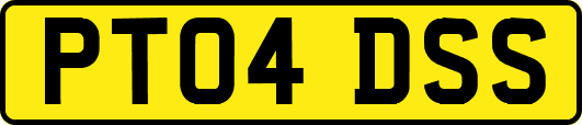 PT04DSS