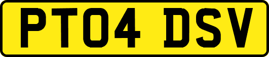 PT04DSV
