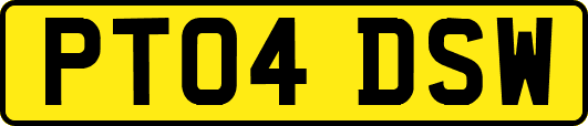 PT04DSW