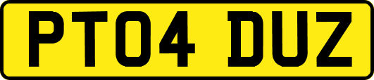 PT04DUZ