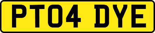 PT04DYE