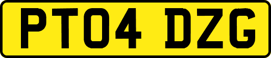 PT04DZG