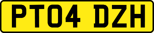 PT04DZH