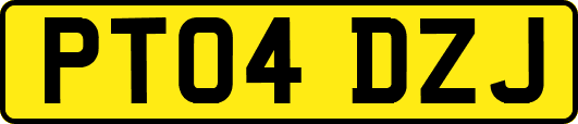 PT04DZJ