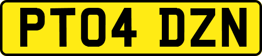 PT04DZN